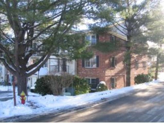 15 Northbrook Dr