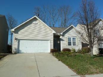 5251 Appaloosa Cir