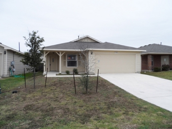 13008 Amaryllis Trail