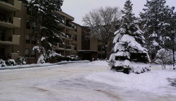 6650 Vernon Ave S #419