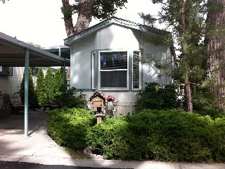 64 Shady Tree Lane