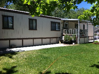 33 Shady Tree Lane