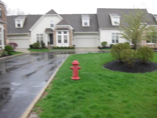 250 Murphys Grn