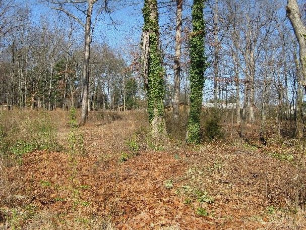 110 & 114 Knollwood DRive