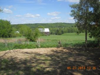 8 Bassett Road