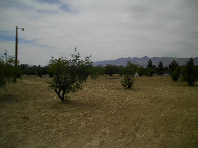 921 E Mesa Oeste Lane