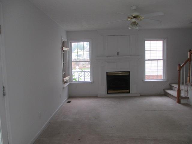 115 Brijidan Ln