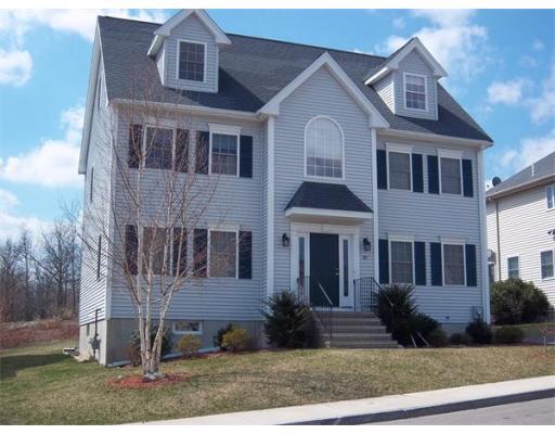 20 Willet Street