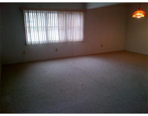 9 Marion Street #B