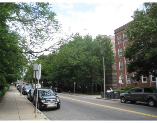 276 Chestnut Hill #10