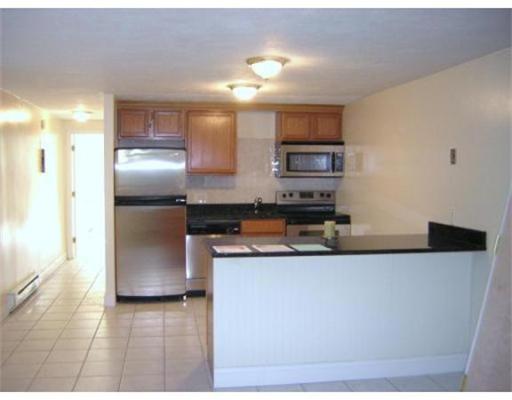 41 Morrell Street #1