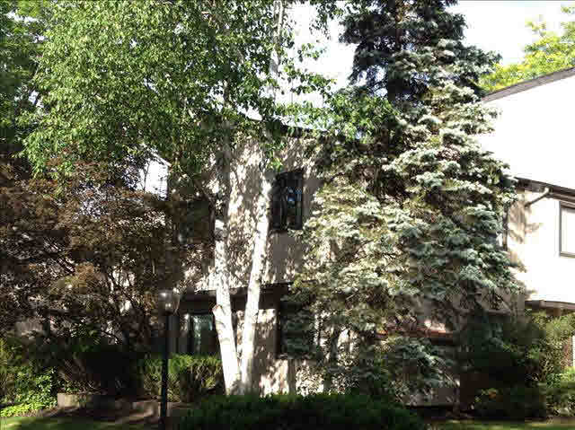 2806 Fox Ln