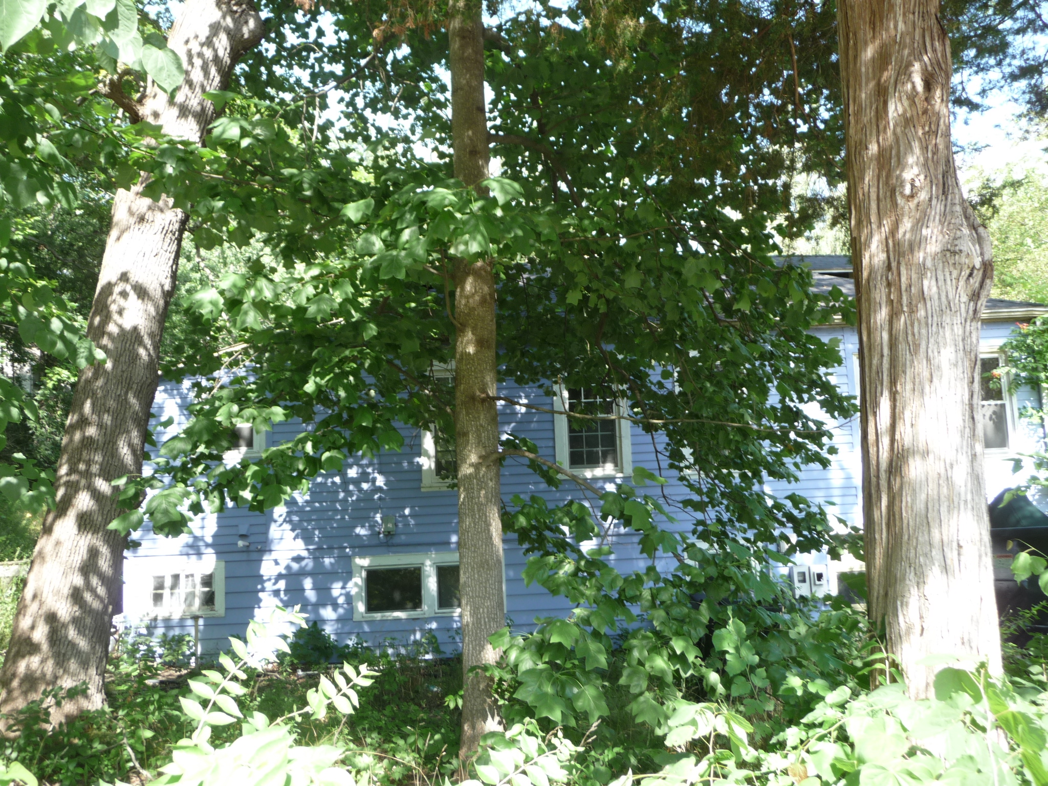 23 Blackhawk Springs Dr