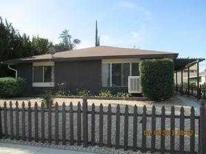 1145 Olive Tree Ln