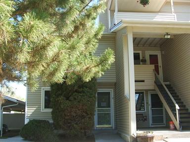 7885 Barbara Ann Dr # 1