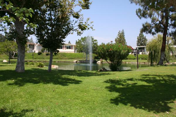 24001 Muirlands #61