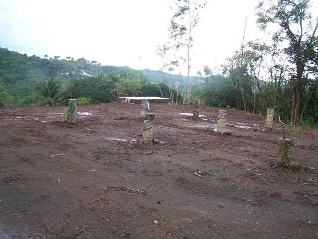 Pr 5568 Int Condes Comm Cuchilla Bo Cuchillas