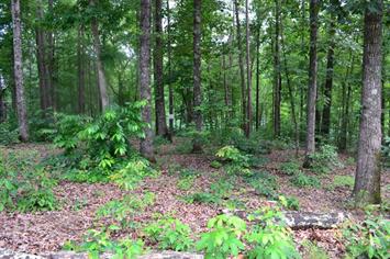 Lot 95 Keowee Falls South Town Apn