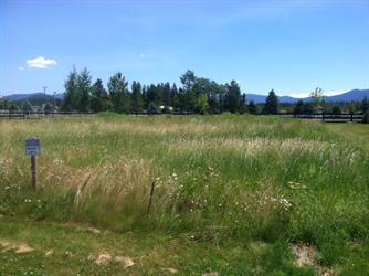 Nna Pebble Creek Drive
