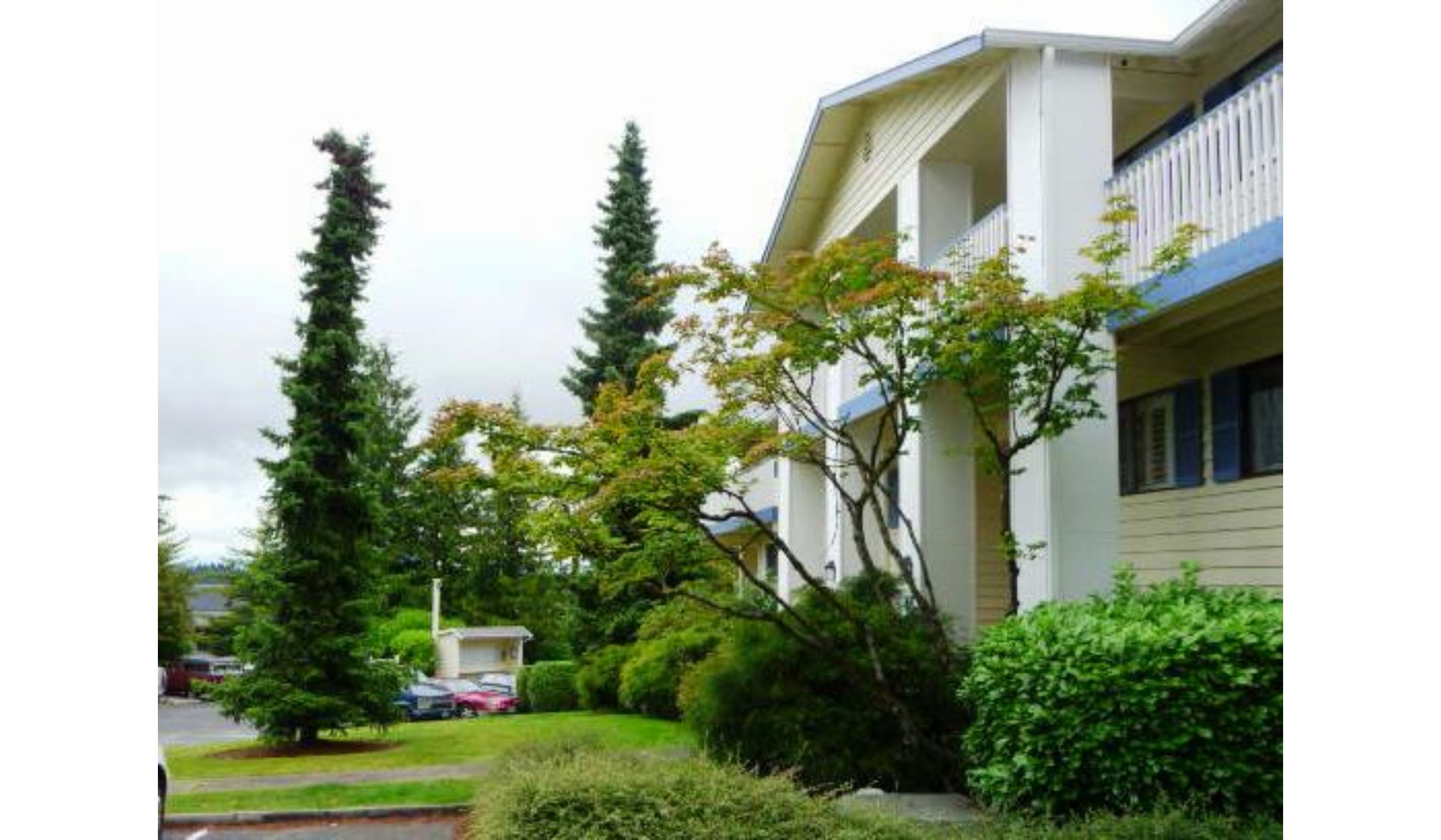 12906 8th Ave W Apt D204