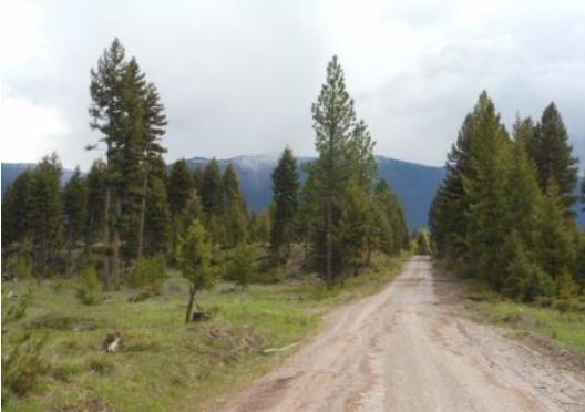 331.58 Acres Cottonwood Lakes Road