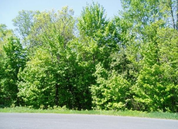 4 Lots Norhill Estates