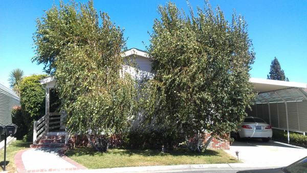 1400 W. 13th St #32