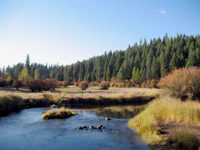 TBA Hwy 95