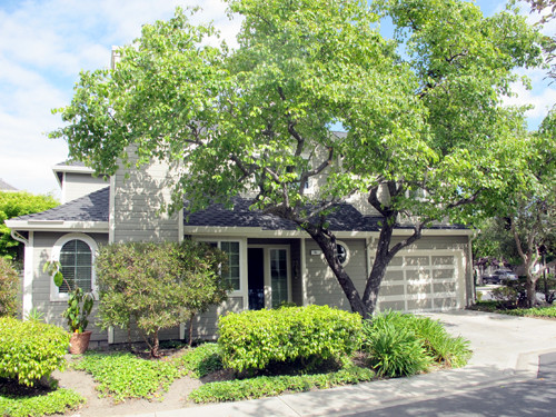 62 Williams Ln