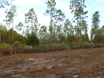 Land Lot 86 Third L