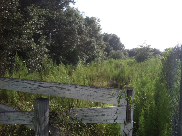 HAYES ROAD, NEW PORT RICHEY