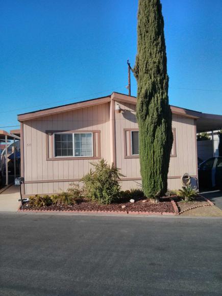 517 Willow Dr