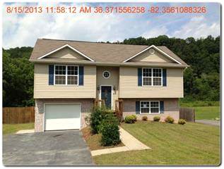 411 Austin Springs Rd