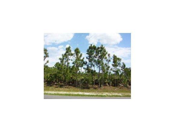 0 Palm Bay