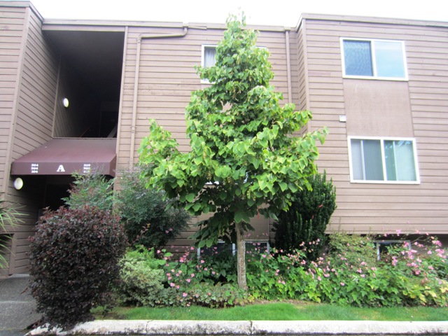 5844 NE 75th Street Unit A302