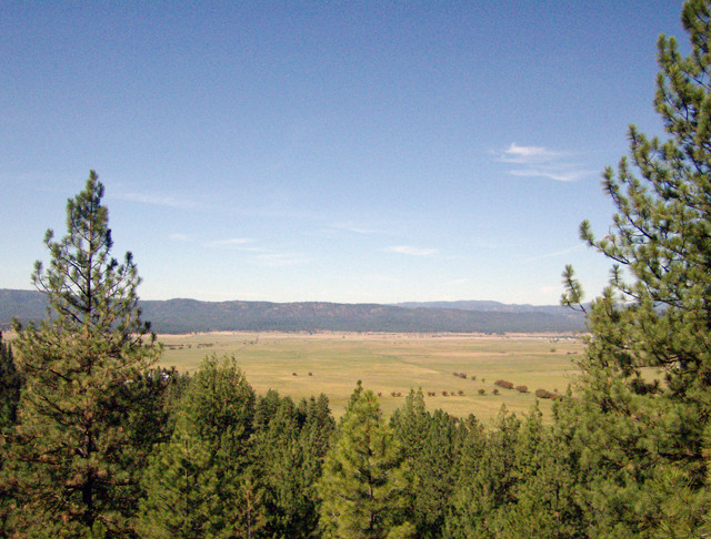 TBD Raney Road
