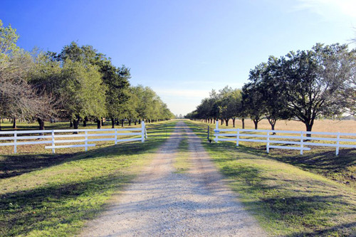 0 County Road 100