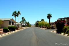 2000 S Apache Rd #234