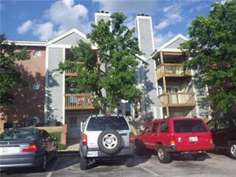 6605 Rapid Water Way #303