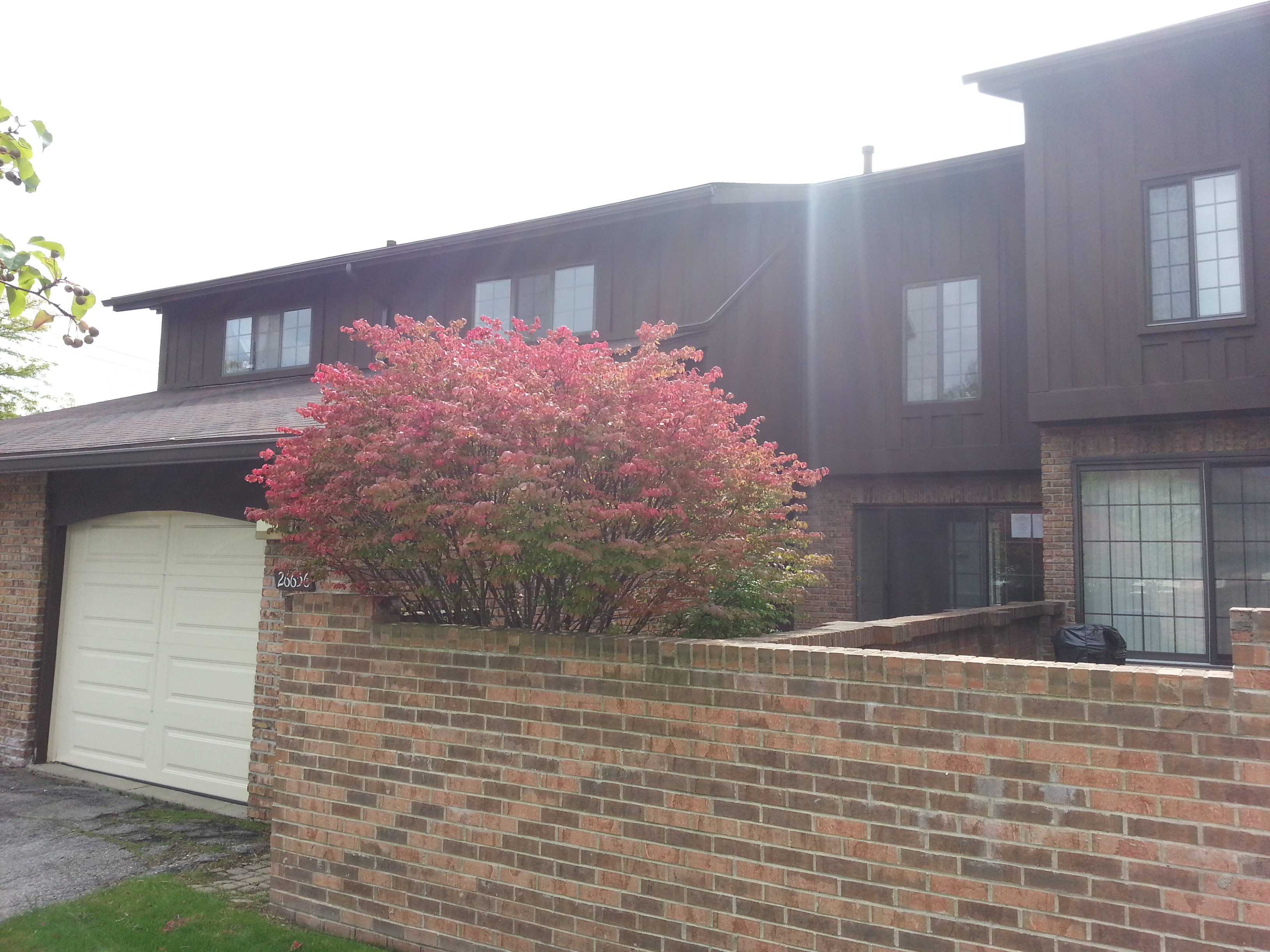 26656 Summerdale Dr Unit 49