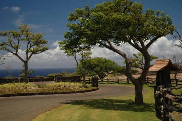 56-168 Pualani Road