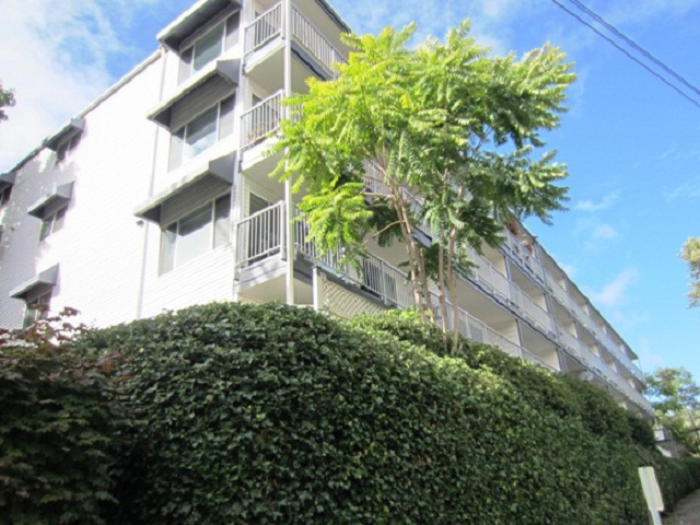 762 Hayes St Unit 27
