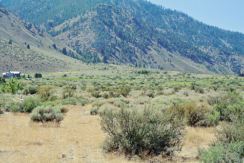 420 Mountain Meadow Drive