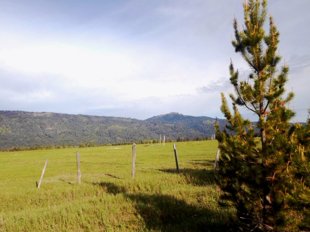 tbd Schultz Road
