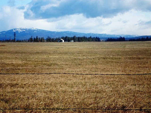 TBD Hwy 55