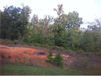 Well Creek Ln Lot 26