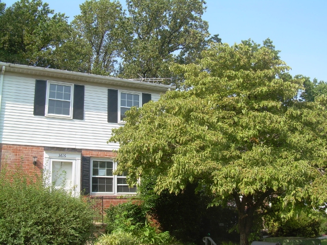3616 Double Rock Ln