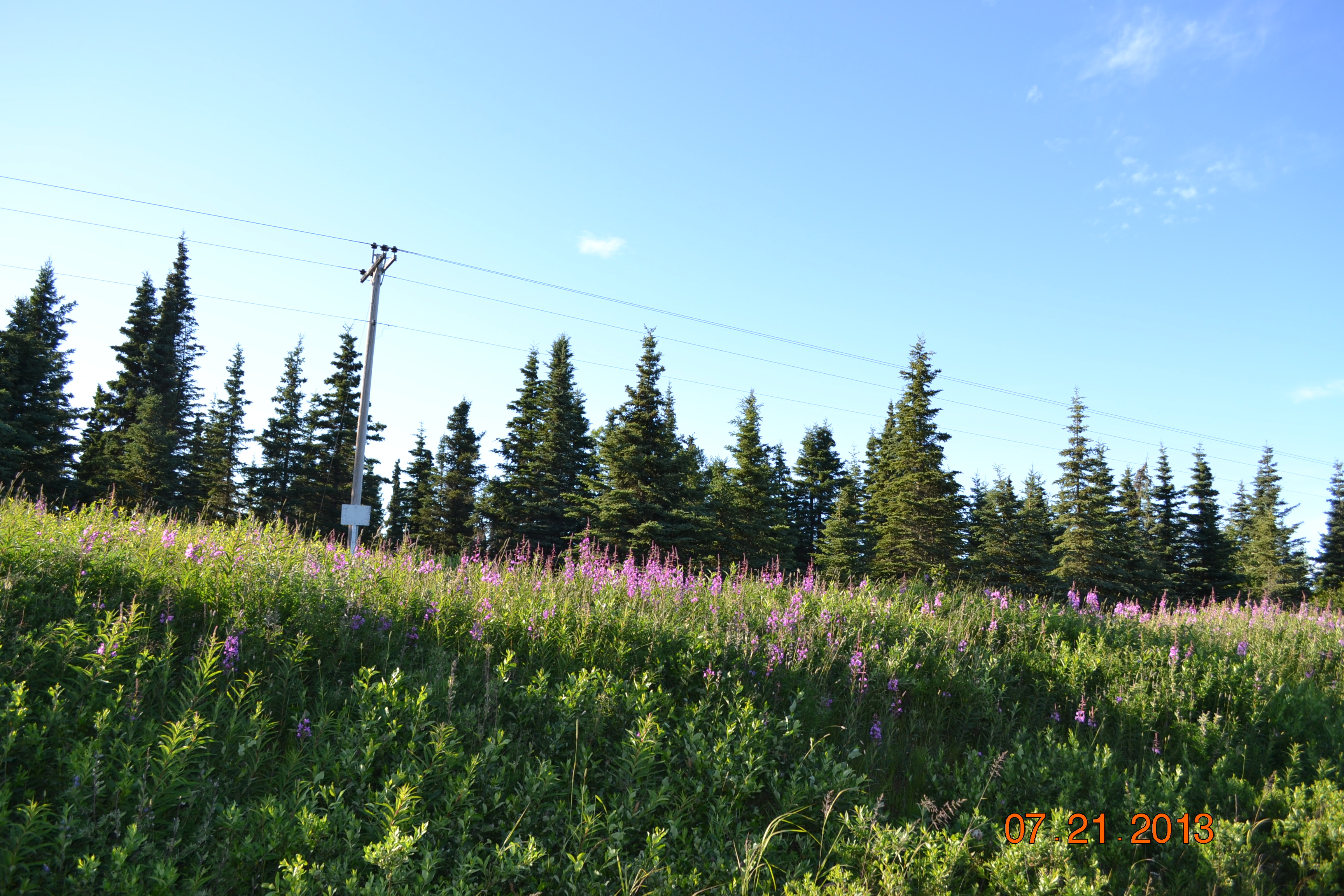 65240 Sterling Highway L28