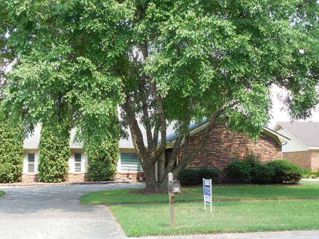 811 CLEMENT