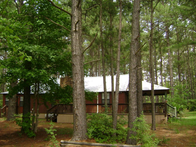 20955 Babbie Rd, Andalusia, 36420